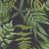 Black/Green