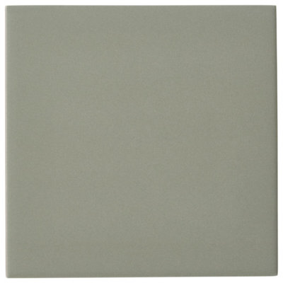 Born 5X5 Matte Porcelain Tile