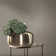 Serene Collection Metallic Abstract Branches Design 33' L x 21" W Wallpaper Roll