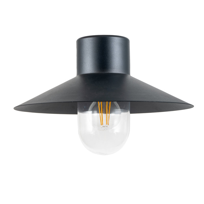Ivy 22cm H Outdoor Barn Light