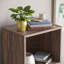 Gerardi 32cm W Standard Bookcase-70966733-28126304