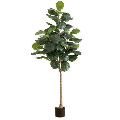 Weir 72'' Faux Fiddle Leaf Fig Tree in Pot