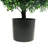 20.98'' Faux Boxwood Topiary