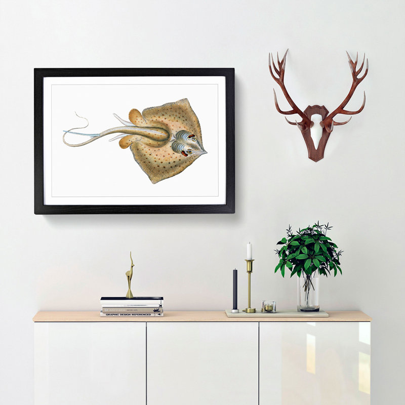 Common Stingray by Edward Donovan - Picture Frame Painting Print, 36cm H x 48cm W x 2cm D, Black Framed