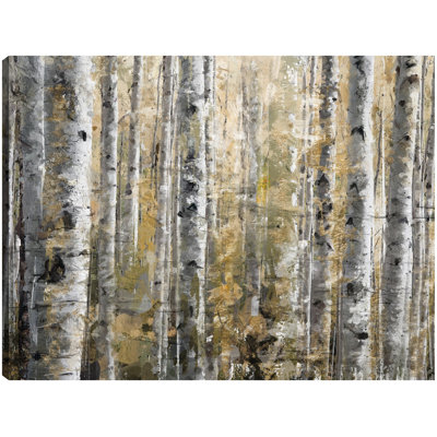 Autumn Birches by Studio Arts Canvas Art Print