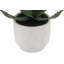 Artificial Succulent Plant Set in Stone Pots, Luxury 2-Pack