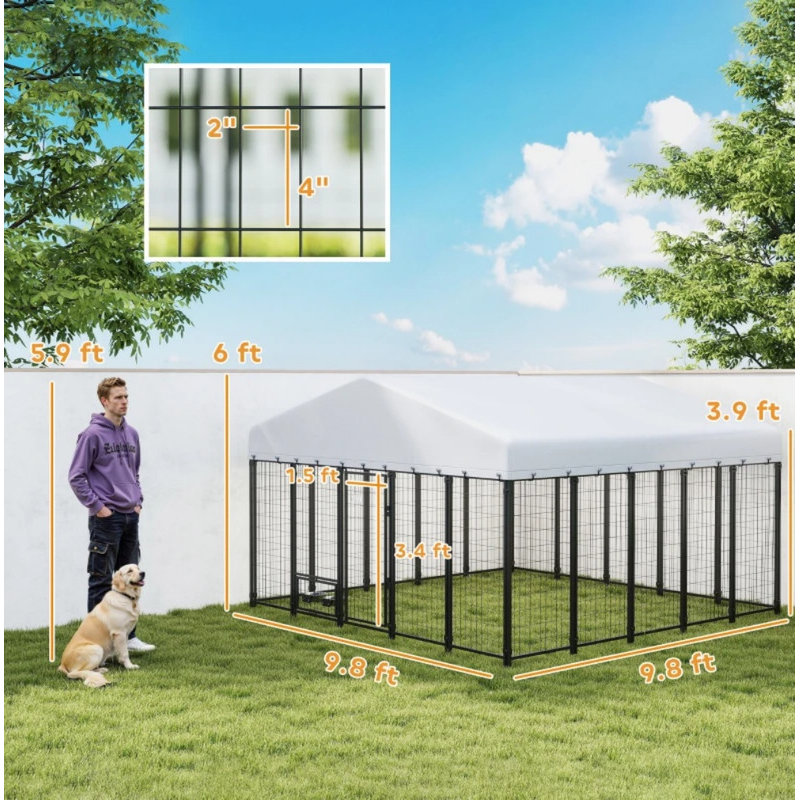 Chenil spacieux pour chien, chenil d'extérieur pour animaux