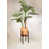 Cream on Orange/Ebony est en rupture de stock