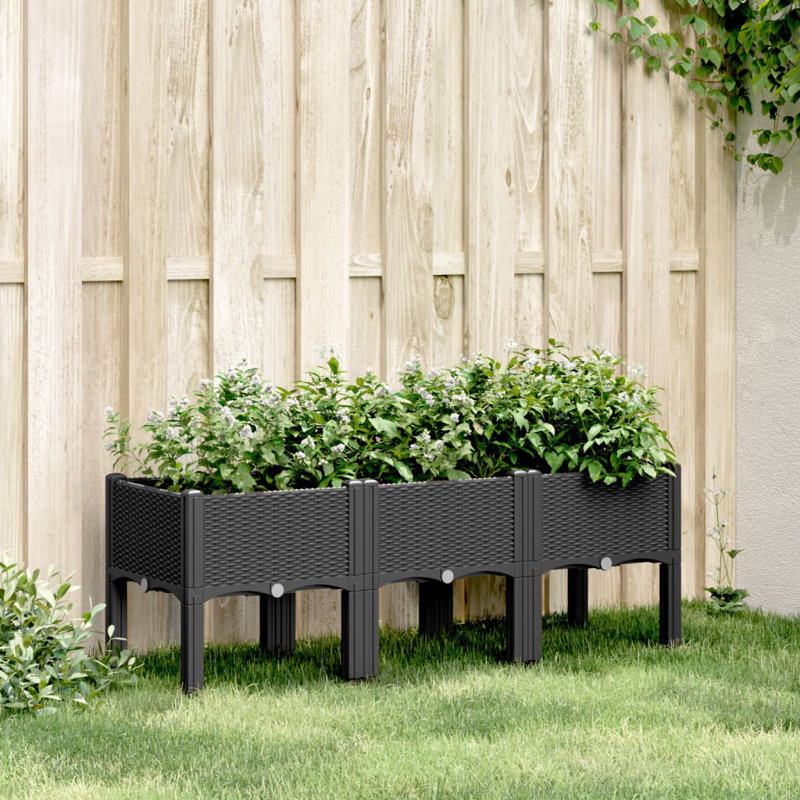 Aizzaddin Planter Box, Black