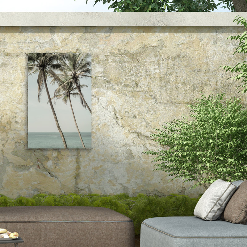 Rouleau de soleil bolologien sur toile, H 24 po x l 16 po