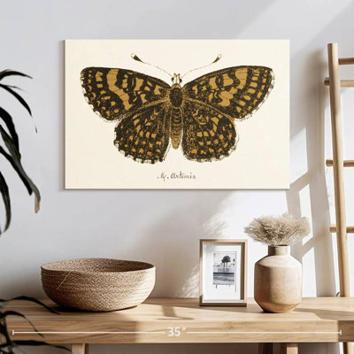 Papillon antique II