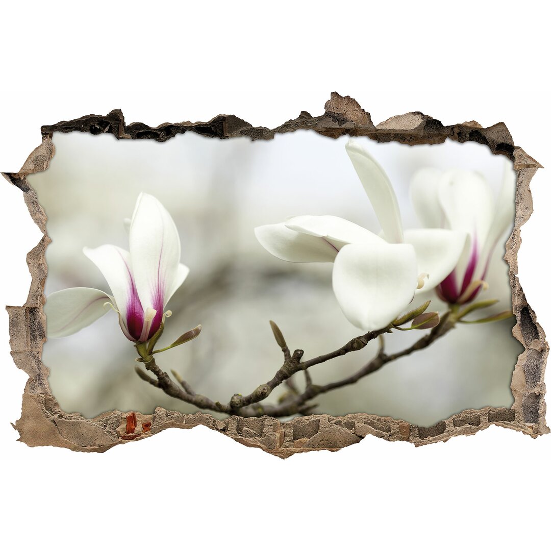 Wandtattoo Weiße Magnolienblüte