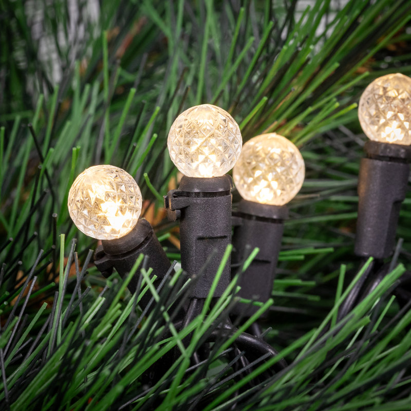 LED G12 Berry Christmas Lights - 16' Black Wire - 50 Ct, Warm White