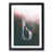Black Framed