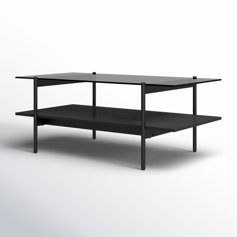 Emani Black Glass Rectangular Coffee Table with Storage Shelf