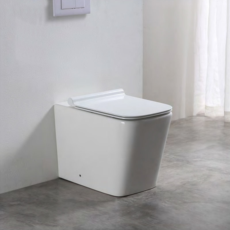 Oran Back-to-Wall Toilet