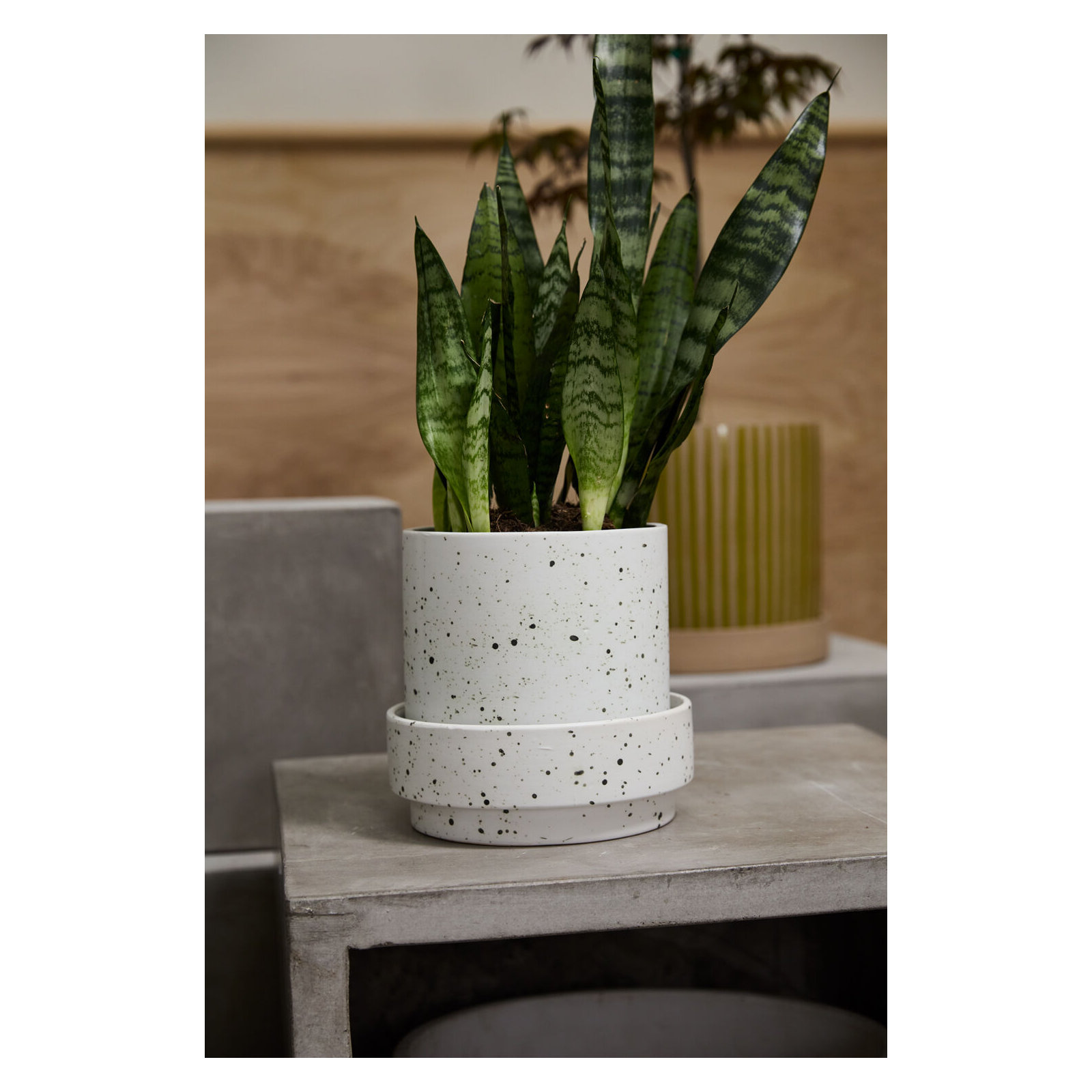 Bridgeway Pot with Saucer, 7.75" H x 8" W x 8" D
