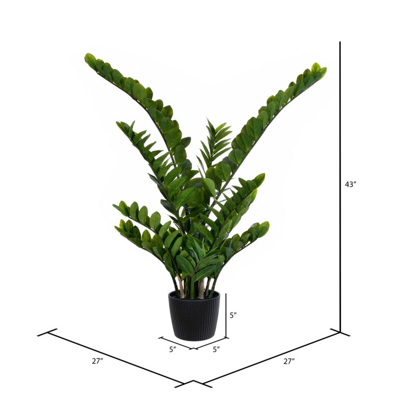 Buisson artificiel zamifolia zen vert en pot, H 43 po x l 27 po x P 27 po