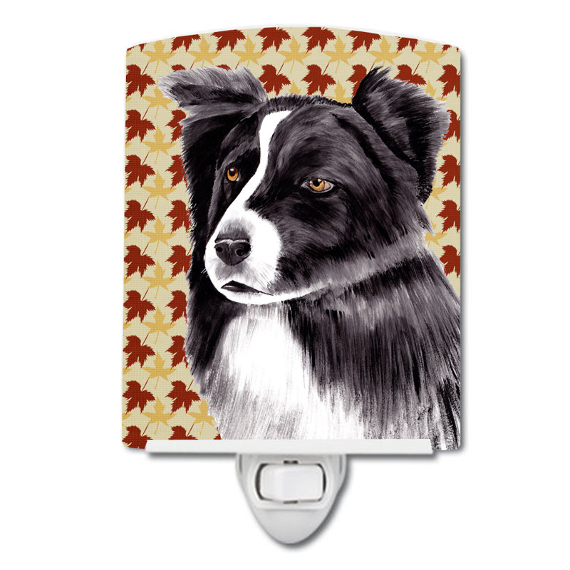 Éclairage pour nuit en céramique en céramique terre-neuve, Border collie