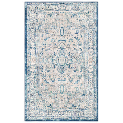 Aurich Light Gray/Blue Oriental Rug