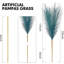 Herbe de 17 po Pampas-2050360863