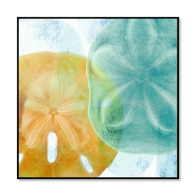  "Luminous Seashells" Framed High Gloss Acrylic Wall Art