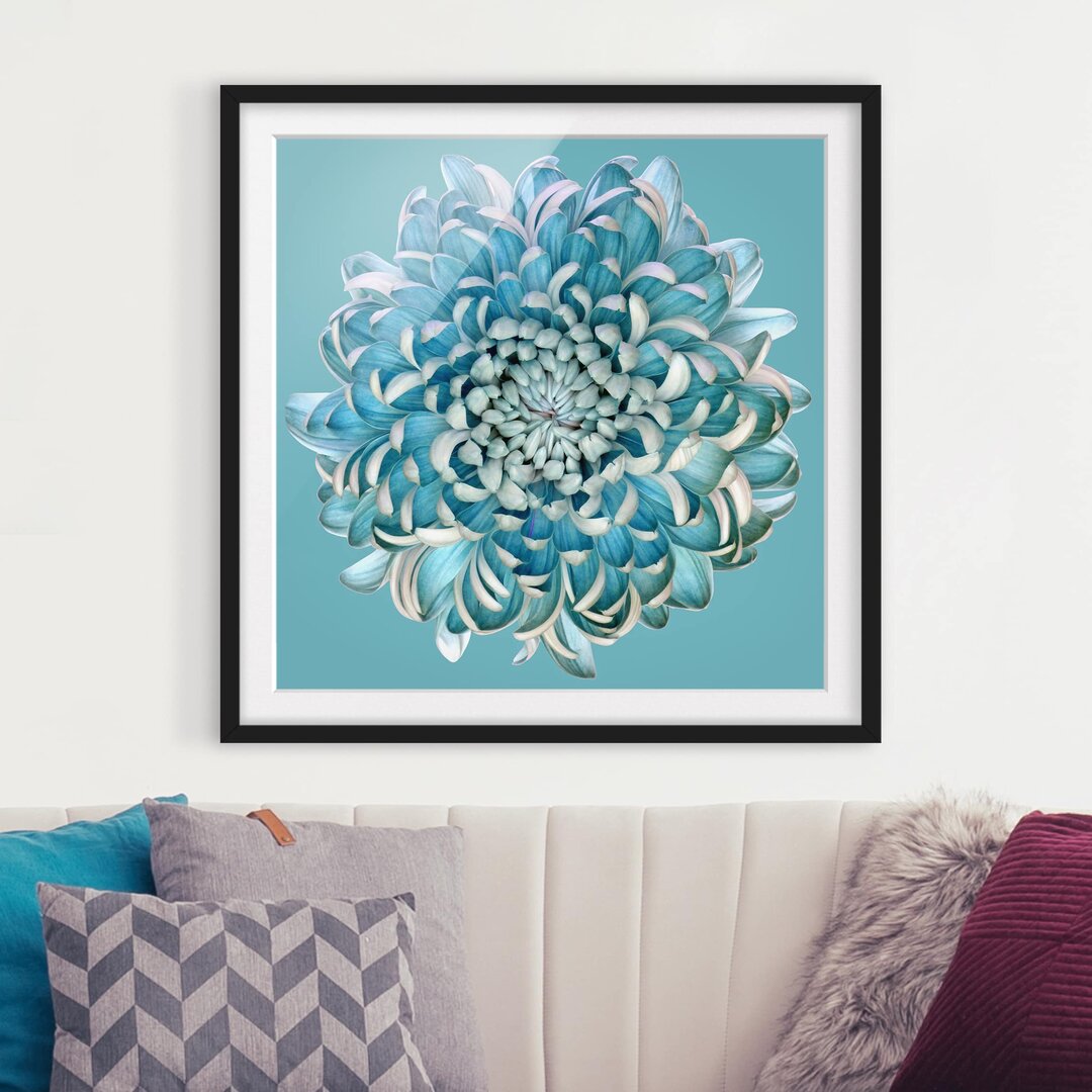 Gerahmtes Papierbild Blaue Chrysantheme