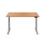 Bouton Adjustable Metal Base Standing Desk-656411964-656821100-639665721