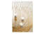 Dorelle Chandelier-193521622