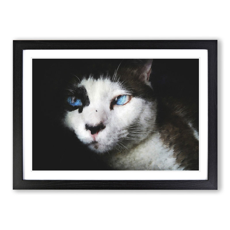 Portrait of a Cat Vol.10 - Picture Frame Painting, Black Framed, 48cm H x 65cm W x 2cm D
