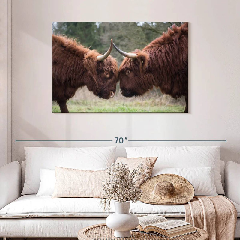 Brampt Highland Cow Clash, 30" H x 45" W