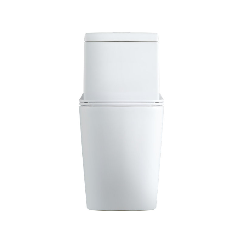 Toilette une pièce à jet double KDK Home, Blanc