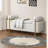 Reyanne Upholstered Storage Bench-1419576442