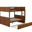 Lit superposé double en noyer avec lit gigogne simple pratique - peu encombrant-1833629139