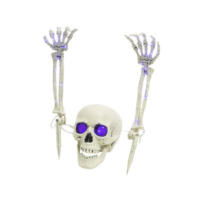 Set of 3 Battery Operated Lighted Skull & Skeleton Hands