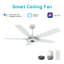 Ventilateur de plafond intelligent intérieur / extérieur Journey de 52 pouces, ensemble d'éclairage à DEL à intensité variable et télécommande, fonctionne avec l'assistant Google, Amazon Alexa et les raccourcis Siri.-1603460237-1603460232-1603460272