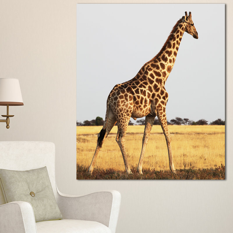 Reproduction de photo sur toile tendue, "Simple girafe en Afrique qui marche", H 32 po x l 16 po x P 1 po