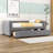 Amneris Twin Size Upholstered Daybed with 2 Drawers-1249027196