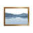 Brown Framed