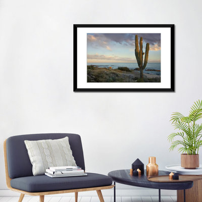 «Saguaro Cactus At Beach, Cabo San Lucas, Mexico» par Tim Fitzharris - reproduction d'art sur toile tendue
