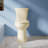 21" Extra Tall Compact Two-Piece Toilet 1.1/1.6 GPF Dual Flush Round with Soft-Close Seat-111656260