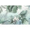 Murale dessin tropical Elledge