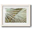 Suave Fronds - impression d'un seul cadre photo-1227837936-1227837937