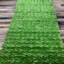 Newbill 120'' H x 40'' W Anti UV Plastic Expanding Trellis-1560013638