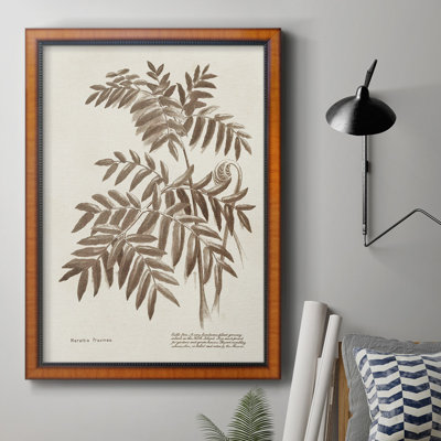 Sepia Fern Varieties II Premium Framed Canvas - Ready To Hang -  Red Barrel StudioÂ®, 7B055D49B1484A8A859BA5A17A0F00D5