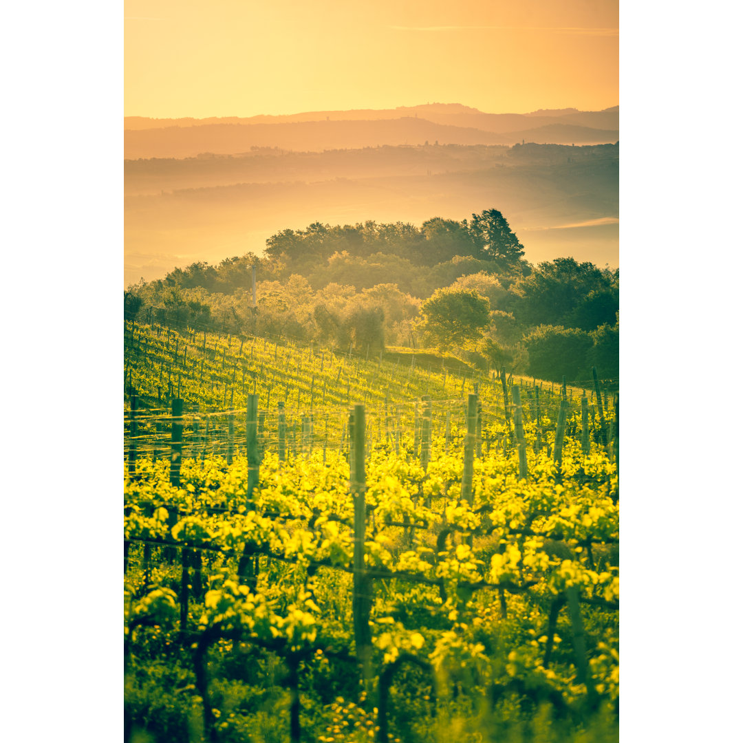 Weinberge in der Toskana bei Sonnenaufgang von Zodebala - Kunstdrucke auf Leinwand