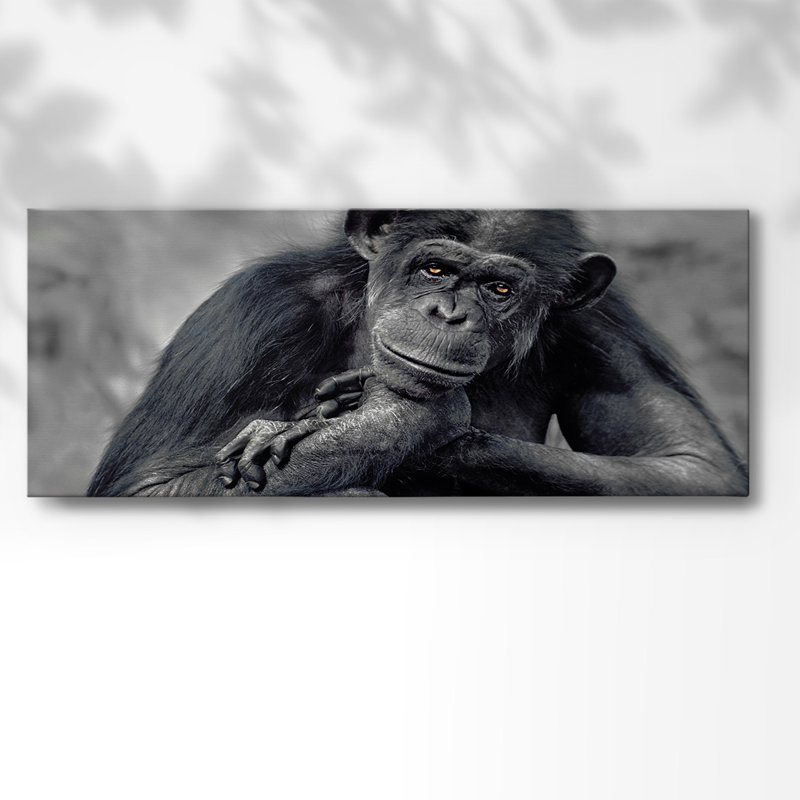 Captivé sur toile, H 20 po x l 50 po x P 1,5 po