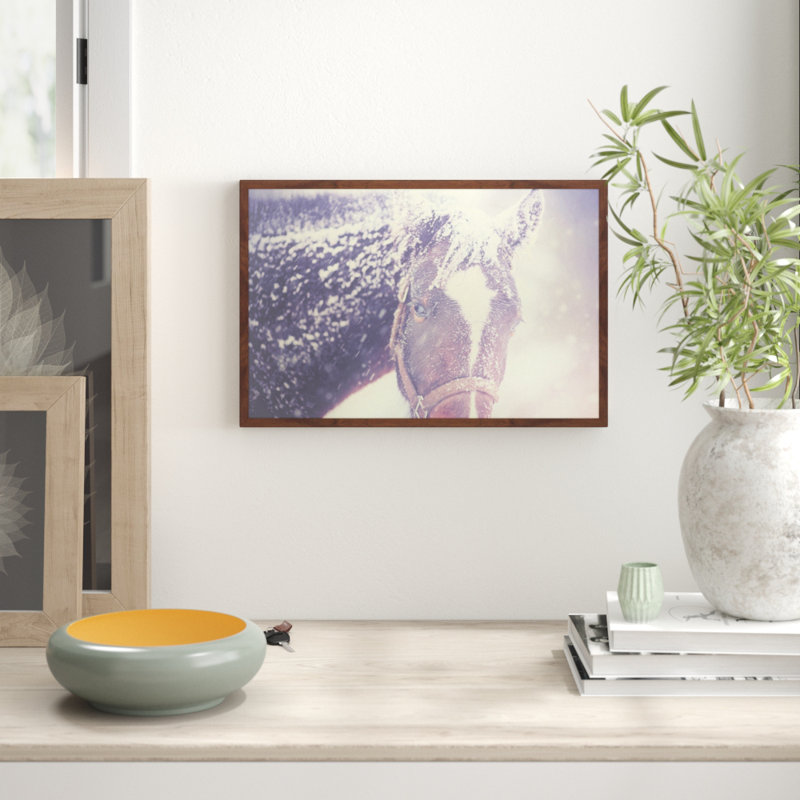 Parvez Taj - Single Picture Frame Print, 41cm H x 61cm W x 3.81cm D