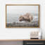 Animaux, vache brune des Shetland, campagne sur toile-93628942-93628943