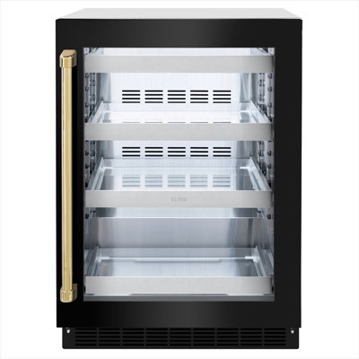 ZLINE Edition 24" Touchstone Fridge w/ DuraSnow Glass Door & Gold Handle